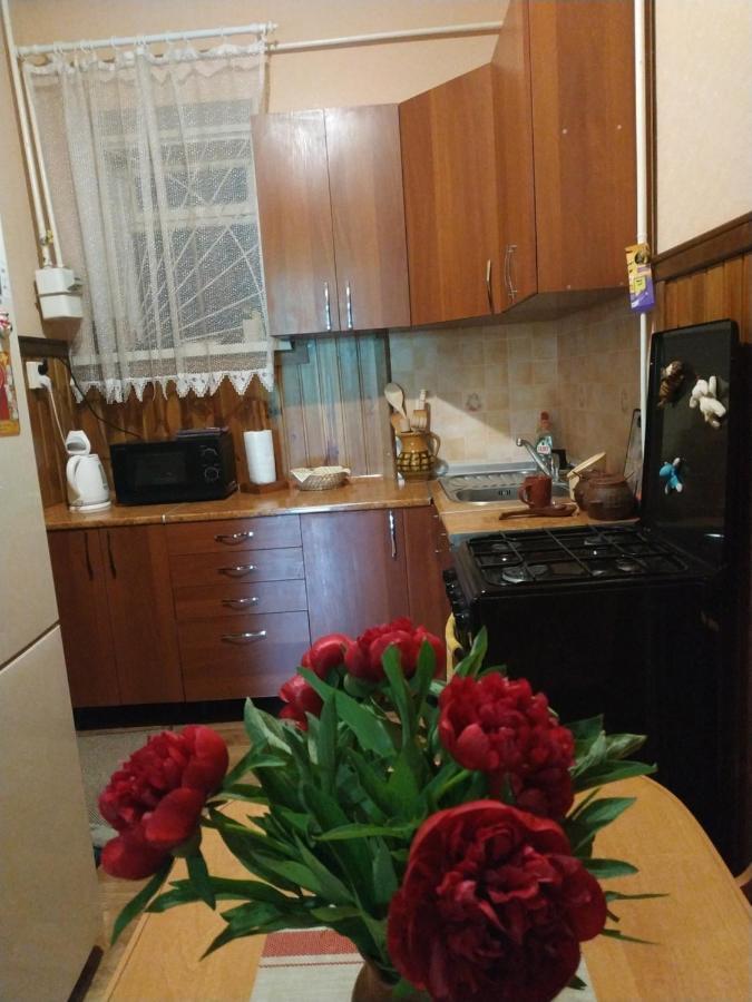 Apartment In The Center Of Old Town Каменец-Подольский Экстерьер фото